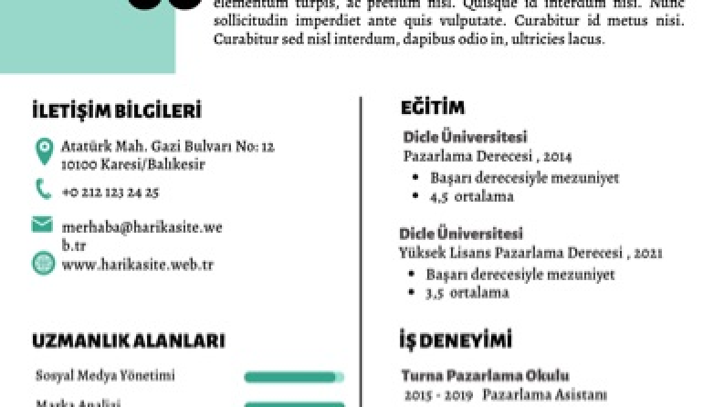 Cv/Ön yazı