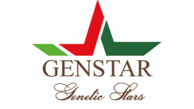 Gen Stars