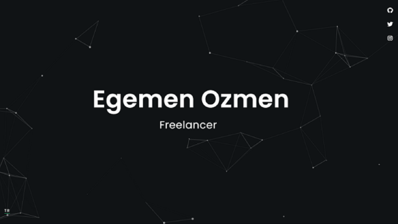Profesyonel Web Sitesi-Uygulamala