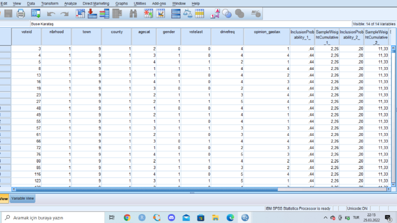 SPSS,R ile ilgili bazı çalışmalar