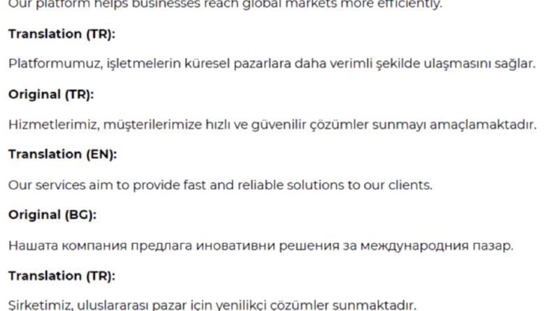 Website Content Translate Sample