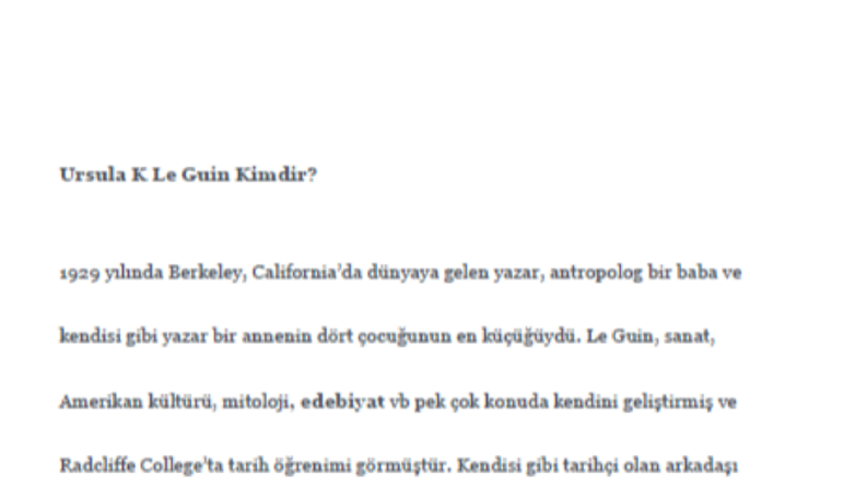SEO Uyumlu Web Sitesi İçeriği - Edebiyat Kategorisi
