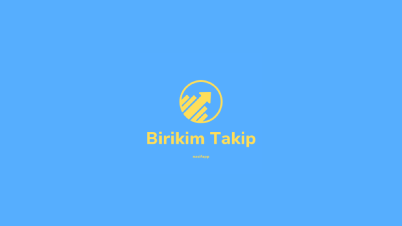 Birikim Takip Mobil Uygulaması