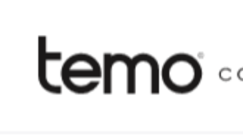 Temo Concept - Logo Tasarımı