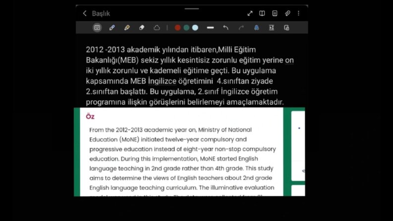 Profesyonel ingilizce-Türkçe çeviri hizmeti 