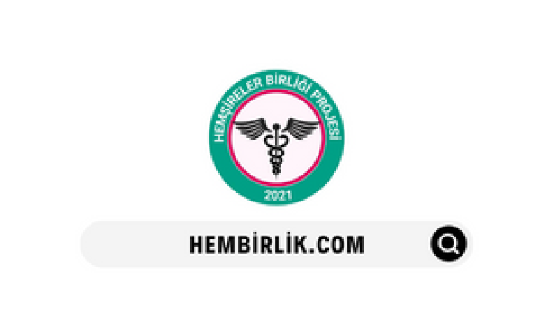 Hembirlik - Organizasyon Web Dönüşümü
