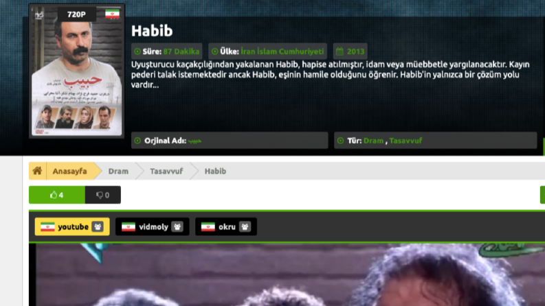 Film altyazı çevirisi