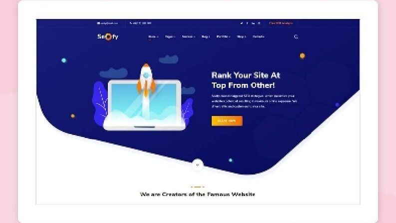 Wordpress Web Siteleri 