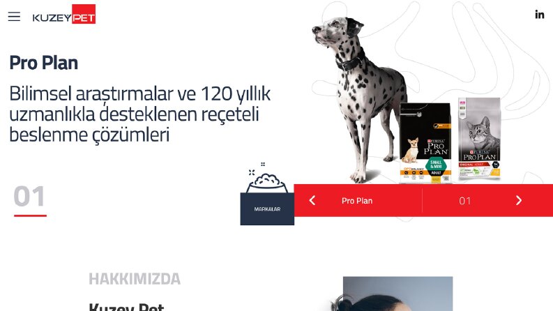 Kuzey Pet