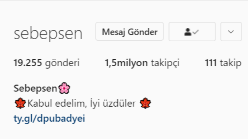 Hizmet verdiğim sayfalarım