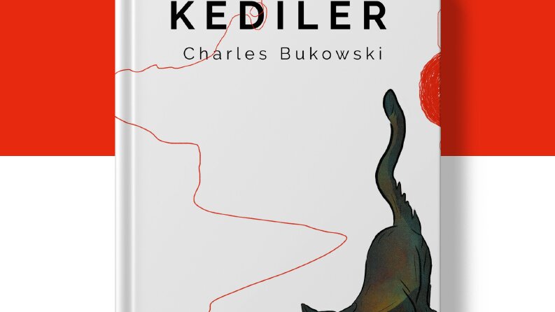 Kitap tasarımlarım