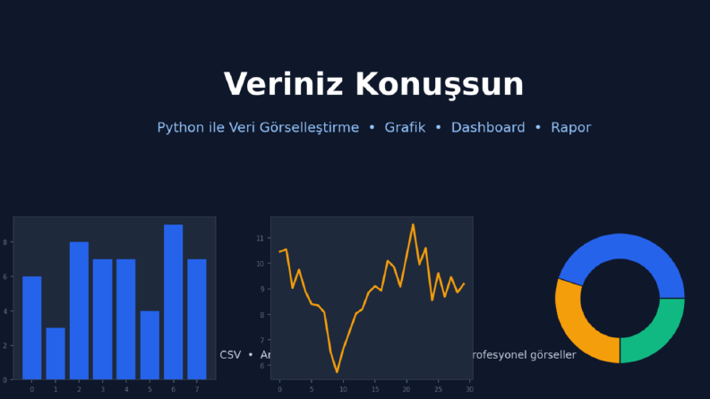 Python ile Veri Görselleştirme, Dashboard ve Rapor Örnekleri