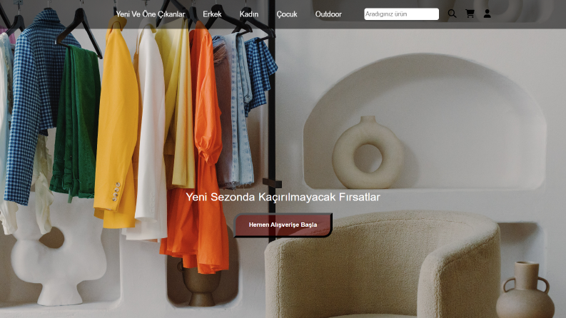 Web designer