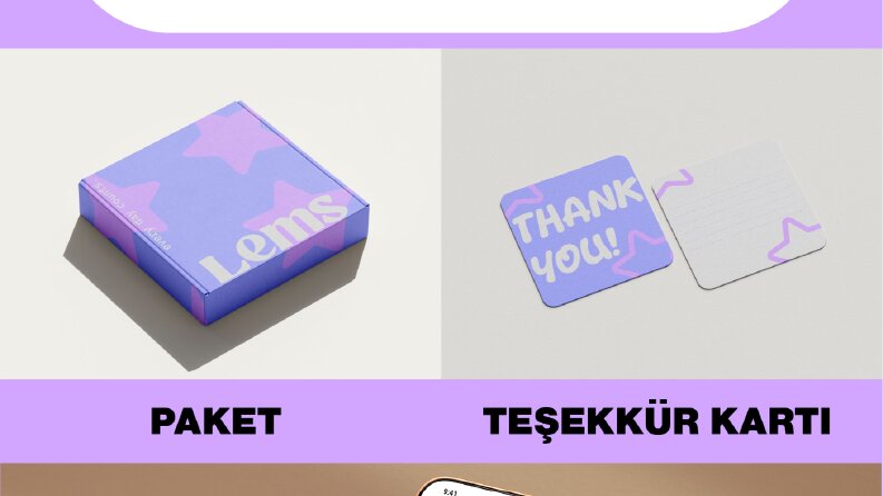 Lems Kurumsal Kimlik Tasarımı