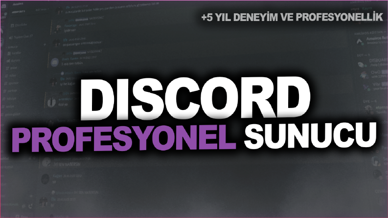 Discord sunucu örnekleri