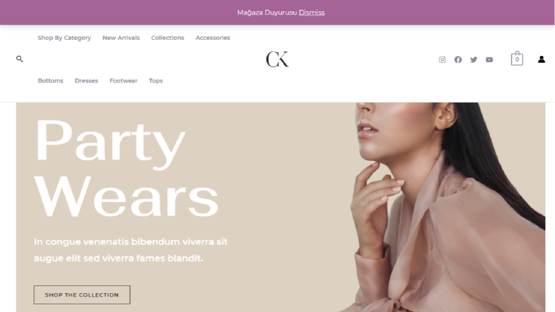 Wordpress Site Kurulum