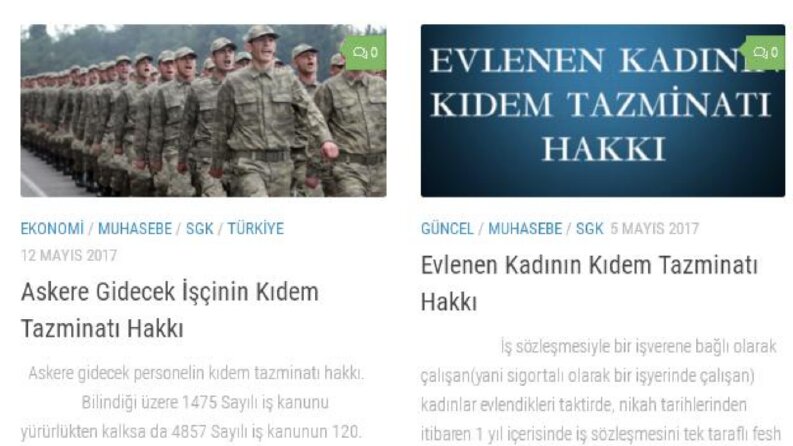 Makale Örneklerim