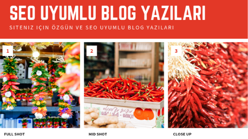 blogger words