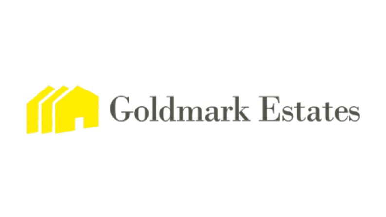 Goldmark Global Proje Mentorluğu