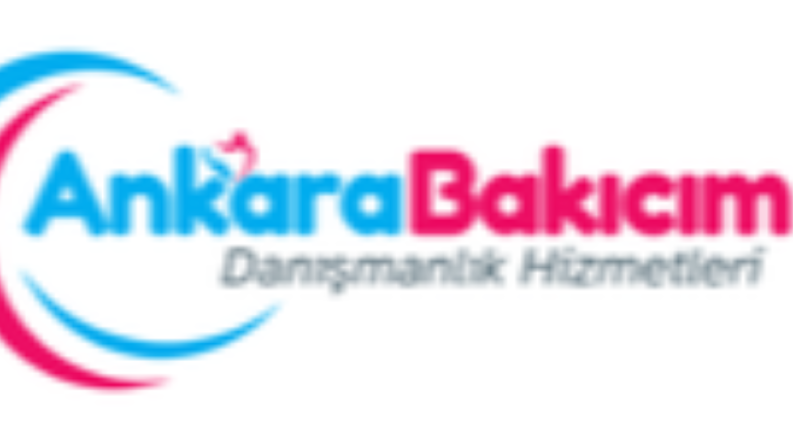 Hizmet verdiğim şirketler