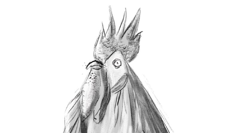 Horoz - Dijital Karakalem