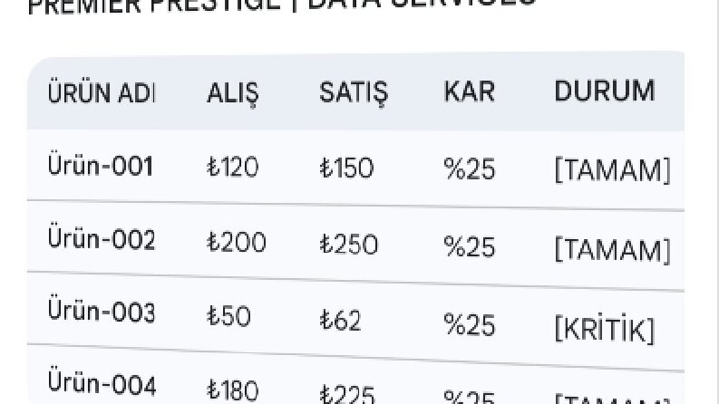 Profesyonel Excel Veri Yönetimi ve Dinamik Raporlama