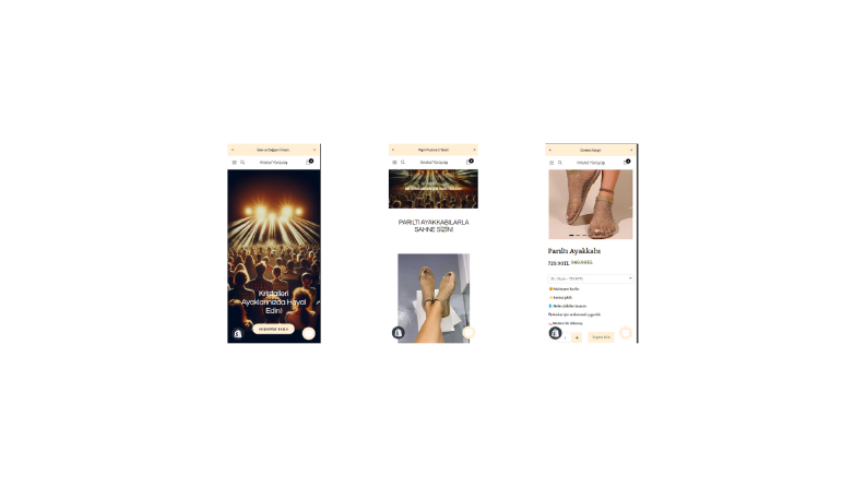 Shopify web tasarım