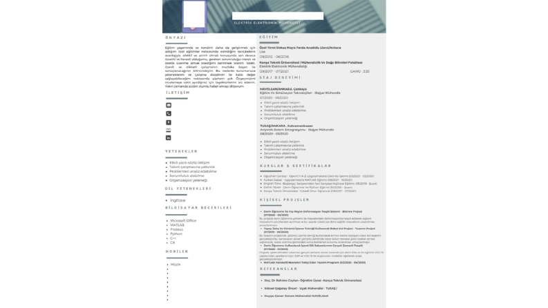 Profesyonel CV Hazırlandı