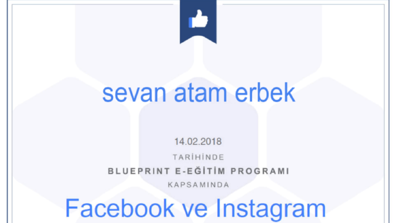 Facebook ve İnstagram Reklamları