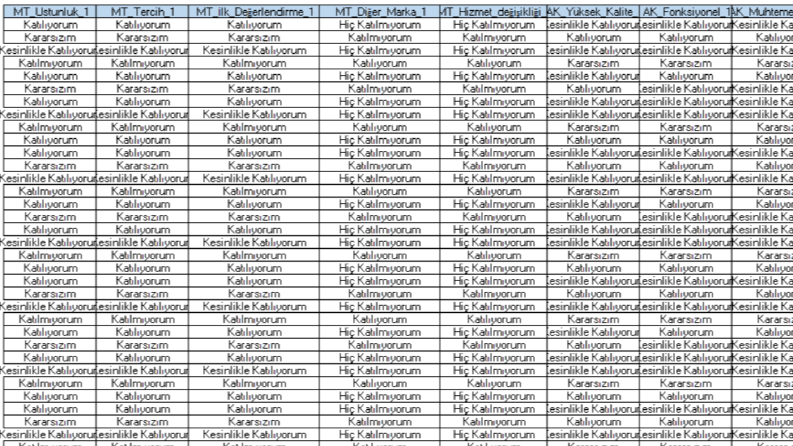 SPSS programında analiz- Rapor