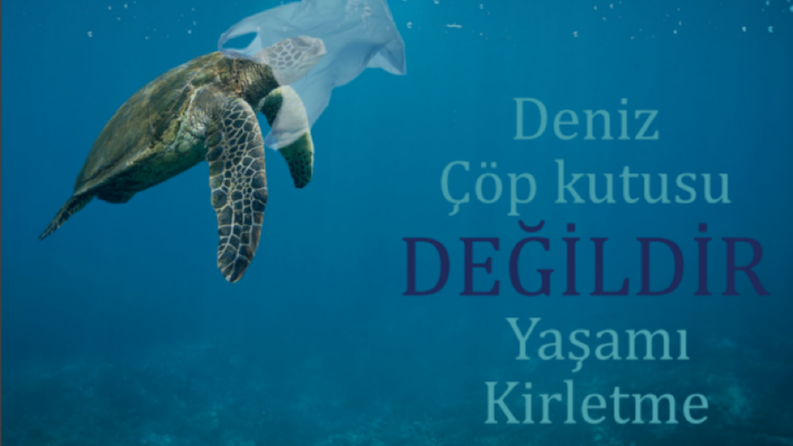 Broşür Tasarımı