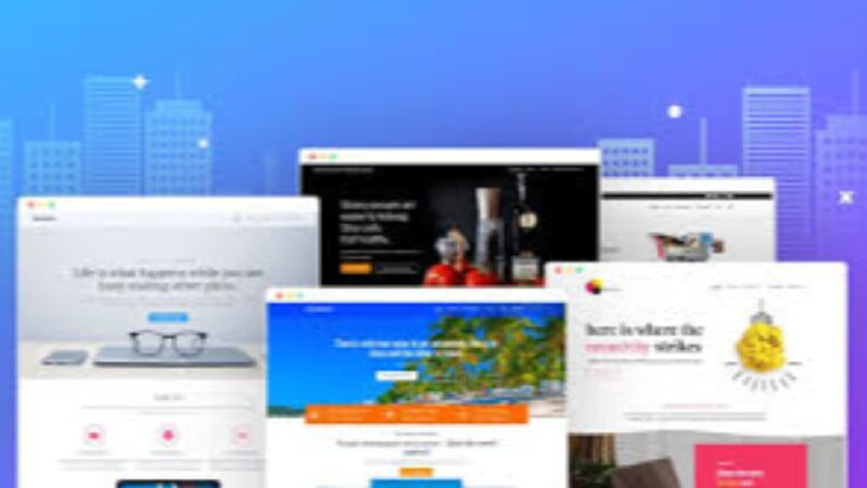 Web-Php developer