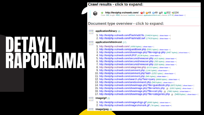 Web Siteniz İçin Sızma Testi 