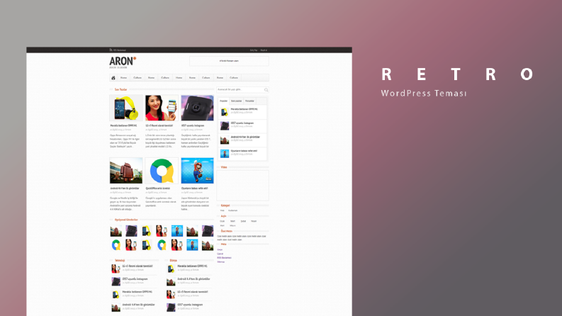 ReproWP - 2013