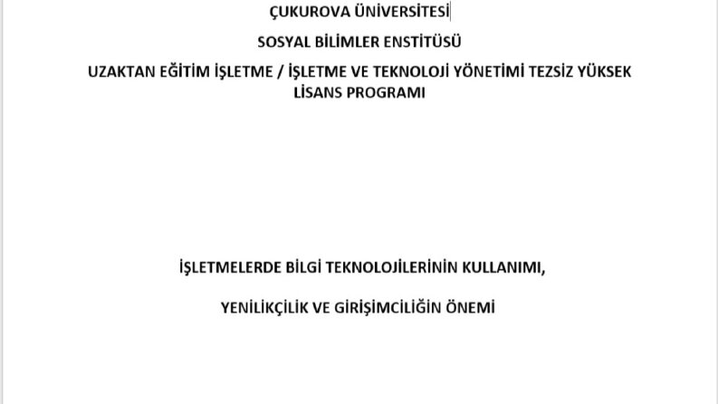 Tez Çalışması