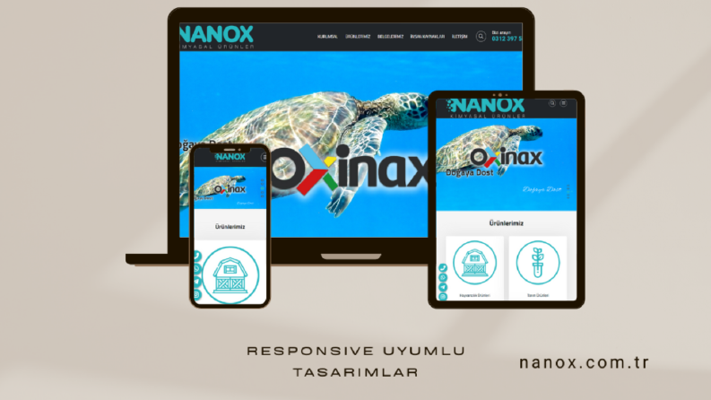 Nanox Web Site