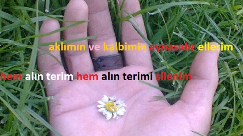 Metin Yazarlığı