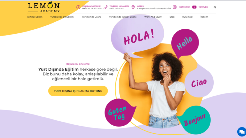 Lemon Academy- Detaylı SEO Yol Haritası Raporlaması