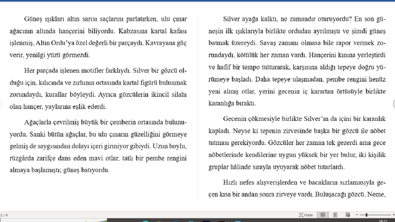 Yalnızca Betimleme