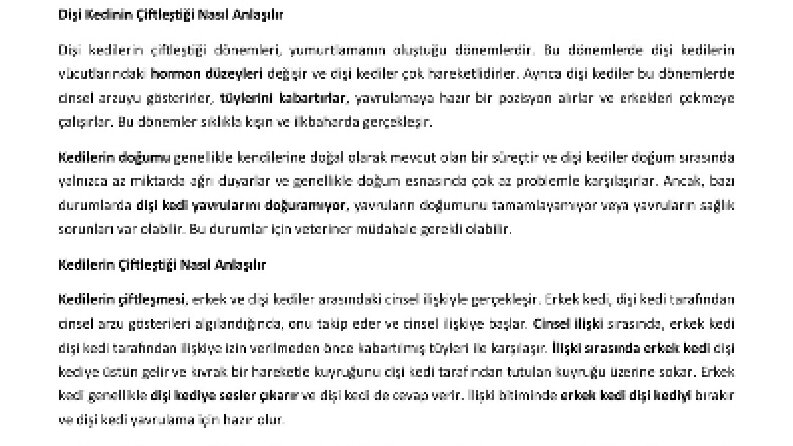 Kediler Hakkında istenen 500 kelimelik makale örneğim
