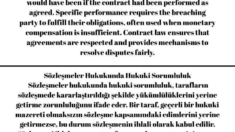 Profesyonel İngilizce-Almanca-Fransızca Çevirmen