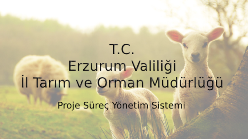 TC Erzurum Tarım ve Orman İl Müdürlüğü Proje Süreç Yönetimi