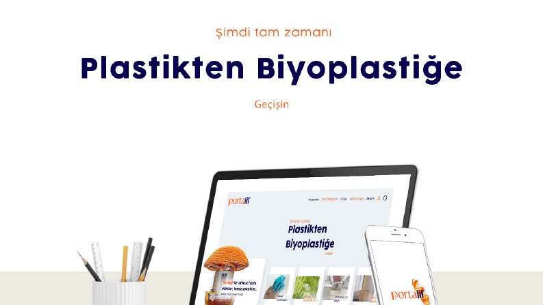 Web Sitesi Tasarımı