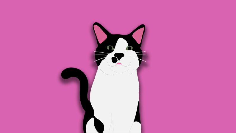İllüstrasyon Kedi Çizimi