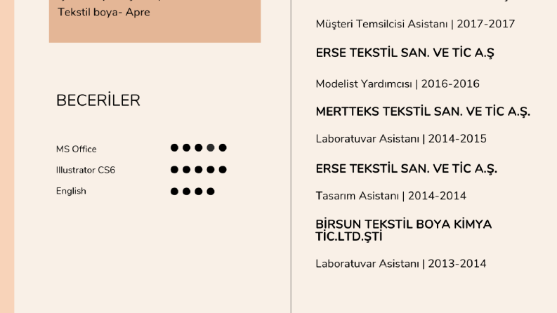 Merve Aydın-CV Tasarımı