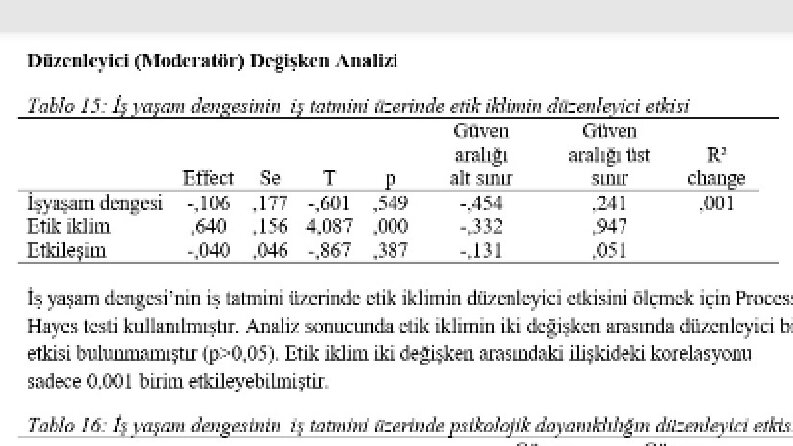 Rapor kesit 4