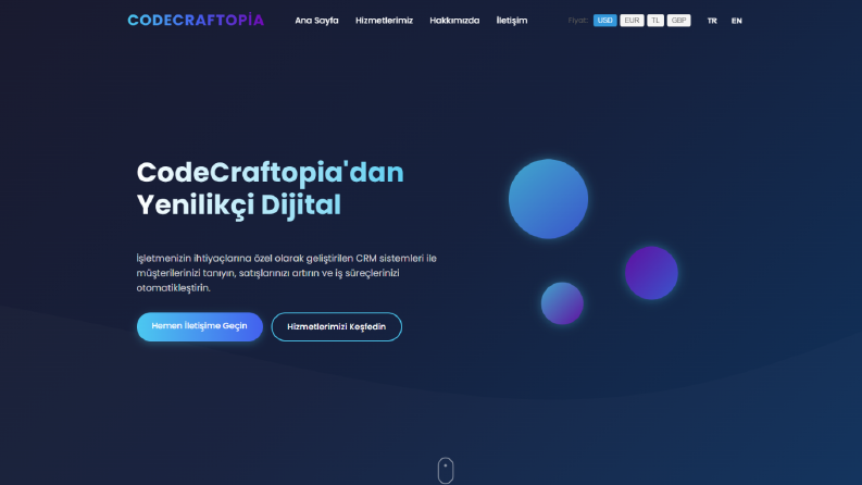 Kurumsal Web sitesi