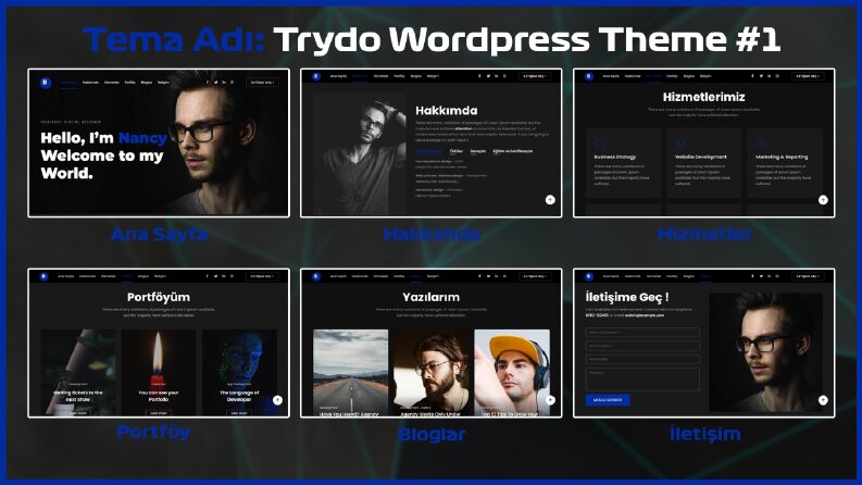 Tema Adı: Trydo Wordpress Theme #1