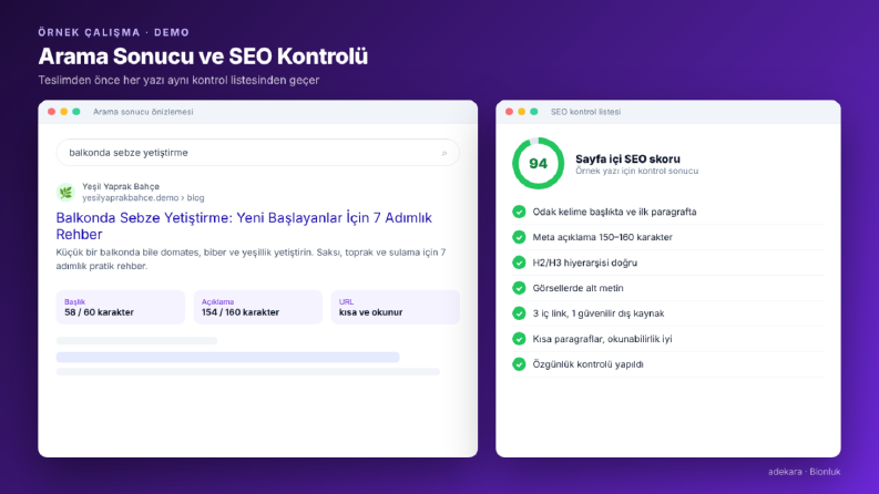 Arama Sonucu Önizlemesi ve SEO Kontrol Listesi (Demo)
