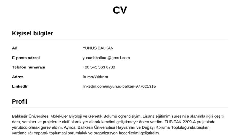 Profesyonel ve ATS Uyumlu CV Hazırlama